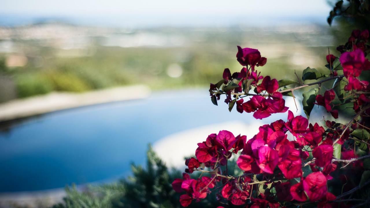 Bed and Breakfast Le Tre Civette - Residenza Di Campagna Villa San Pietro Exteriér fotografie
